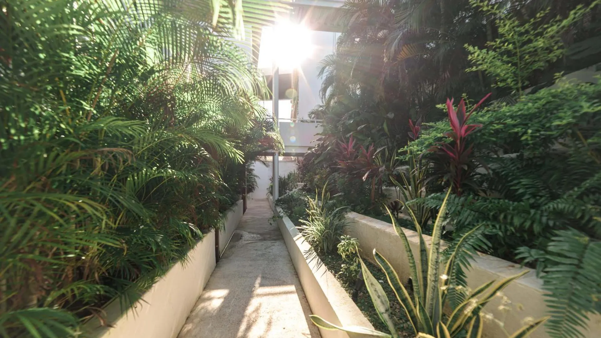 Modern Condo 200M From Beach & 5Th Ave Playa del Carmen 0*,